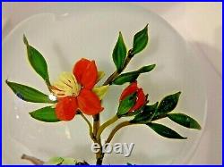 1984 PAUL STANKARD Red Desert Flower Exposed Root Art Glass Paperweight A45