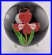 2022 MAYAUEL WARD Red Iris WithFull Moon/Stars on Iridescent Base Paperweight 3.2