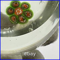 Antique French Glass Paperweight Unknown Markings