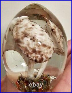 Art Glass Paperweight Mushrooms Egg Shaped