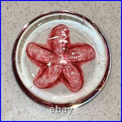 Art Glass Paperweight Signed Sea Biscuit Pink Clear Eben Horton 2005 RARE