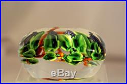 BEAUTIFUL Magnum RANDALL GRUBB Art Glass GRAPES & VINES Clear Ground PAPERWEIGHT