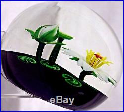 BEAUTIFUL Magnum STEVEN LUNDBERG Lotus POND Art Glass STUDIO Paperweight