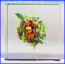 BEAUTIFUL Paul J. STANKARD Berry Cluster ART Glass PAPERWEIGHT Cube