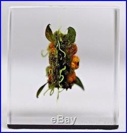 BEAUTIFUL Paul J. STANKARD Berry Cluster ART Glass PAPERWEIGHT Cube