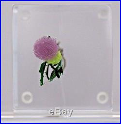 Beautiful BLOOMING THISTLE CUBE by PAUL STANKARD Art Glass PAPERWEIGHT