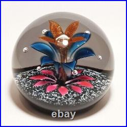 Boxed Signed Caithness Glass Paperweight FANTASIA