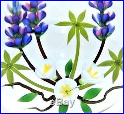 CHARMING Chris BUZZINI Flower BOUQUET Studio ART Glass PAPERWEIGHT