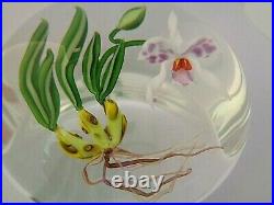 CHRIS BUZZINI FLORAL ORCHID with Roots Art Glass Paperweight Signed OWR 3 1987