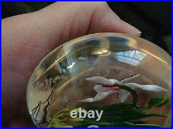 CHRIS BUZZINI FLORAL ORCHID with Roots Art Glass Paperweight Signed OWR 3 1987