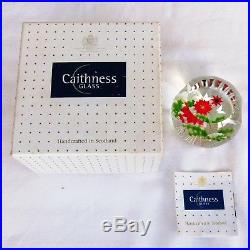 Caithness Whitefriars LE Winter Bouquet glass paperweight / presse papiers