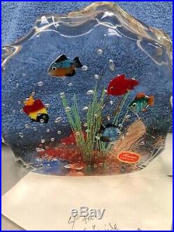Captivating MURANO Tropical FISH AQUARIUM Art Glass SCULPTURE Paperweight
