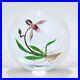 Chris Buzzini Artist-Proof Orchid Flower and Roots Art Glass Paperweight GL