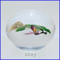 Chris Buzzini Artist-Proof Orchid Flower and Roots Art Glass Paperweight GL