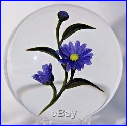 Chris Buzzini Marguerite Daisy Flowers Glass Paperweight Large