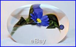 Chris Buzzini Marguerite Daisy Flowers Glass Paperweight Large