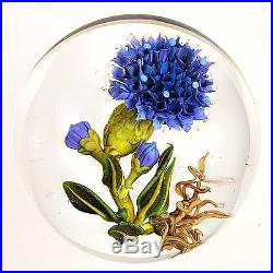Christine STANKARD (Kressley) Plant withBlue Flower