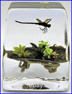 FASCINATING Paul STANKARD Dragonfly Art Glass PAPERWEIGHT Block Root Spirits