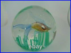 FRATELLI TOSO Murano Art Glass FISH IN SEAWEED Paperweight LAMPWORK with LABEL