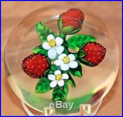 Fascinating DELMO TARSITANO Blooms and Ripe STRAWBERRIES Art Glass PAPERWEIGHT