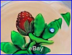 Fascinating DELMO TARSITANO Blooms and Ripe STRAWBERRIES Art Glass PAPERWEIGHT