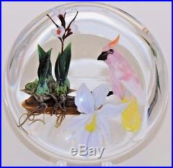 Glamorous AYOTTE Perched COCKATOO White ORCHID on Branch ART Glass PAPERWEIGHT