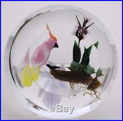 Glamorous AYOTTE Perched COCKATOO White ORCHID on Branch ART Glass PAPERWEIGHT