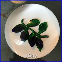 Gorgeous ST LOUIS Art Glass Prunes Plum Signed & Dated 1984 PAPERWEIGHT