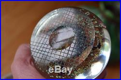 Interesting Large Studio Paperweight Salamander Lizard Insect Bug Unknown Artist