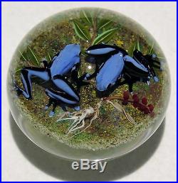 Jim Donofrio very realistic blue glass lampwork Tuxedo Frogs paperweight
