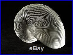 LARGE BACCARAT France Crystal Art Glass NAUTILUS Shell Paperweight SCULPTURE NR