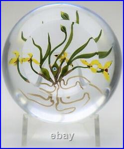 LARGE Fascinating CHRIS BUZZINI Yellow ORCHID Art Glass PAPERWEIGHT Artist Proof