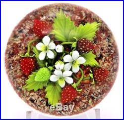 LARGE Fascinating GORDON SMITH Blooming STRAWBERRY Plant Art Glass PAPERWEIGHT