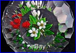 LARGE Lovely DELMO TARSITANO Honeycomb Cut SRAWBERRY Plant Art Glass PAPERWEIGHT