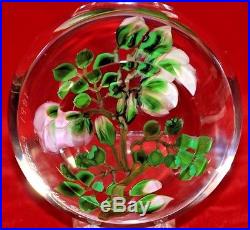 LARGE Spectacular PAUL STANKARD Pink White ROSE Blossoms ART Glass PAPERWEIGHT