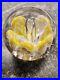 Lampwork Yellow Daffodil Blown Glass Intricate Paperweight 3.25 Authenticated