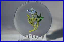 Large BEAUTIFUL Paul STANKARD Floral RARE GHOST ROOT SPIRIT Glass PAPERWEIGHT