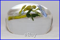 Large BEAUTIFUL Paul STANKARD Floral RARE GHOST ROOT SPIRIT Glass PAPERWEIGHT