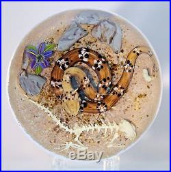 Large EXQUISITE Jim D'ONOFRIO RATTLESNAKE with CACTUS BLOOM Art Glass PAPERWEIGHT