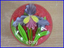 Mayauel Ward 2012 Signed studio art glass paperweight Iris flower PW 44VOS