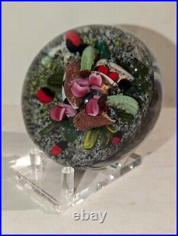 Melissa Ayotte 2005 Art Glass Paperweight Forbidden Fruit