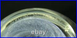 Michael Nourot Art Glass SC 09 07 BG Controlled Paperweight Signed and Numbered