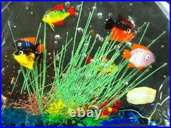 Murano Art Glass Sculture Paperweight Colorful Fish Aquarium 7.5