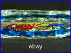 Murano Art Glass Sculture Paperweight Colorful Fish Aquarium 7.5