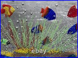 Murano Colorful Fish Sea Grass Aquarium Fused Glass Block Paperweight Large