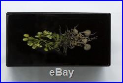 Paul Stankard Original Glass Botanical Rare Early Piece 1991 Best Offer