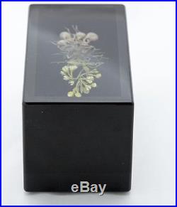 Paul Stankard Original Glass Botanical Rare Early Piece 1991 Best Offer