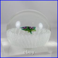 Paul Ysart Cane Signed Art Glass Paperweight in Orig. Fitted Case