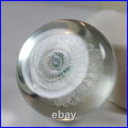 Paul Ysart Cane Signed Art Glass Paperweight in Orig. Fitted Case