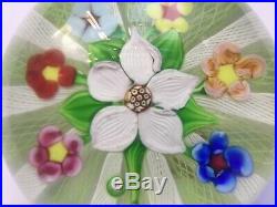 Paul Ysart Ultra Rare Signed Lattacino Cane Flower Paperweight